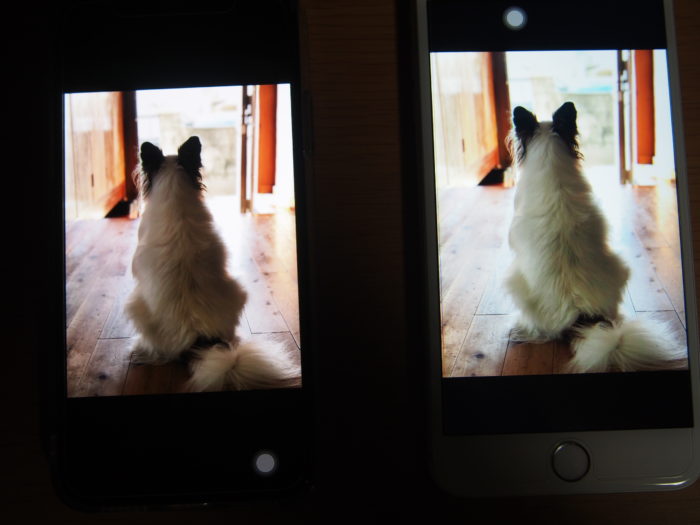 iPhoneXとiPhone6plus