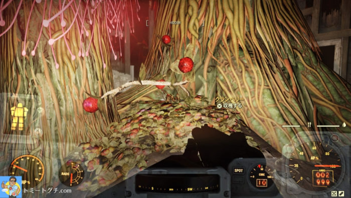Fallout76 生い茂ったサンデューの木立