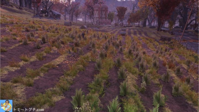 Fallout76 ビリングス農場