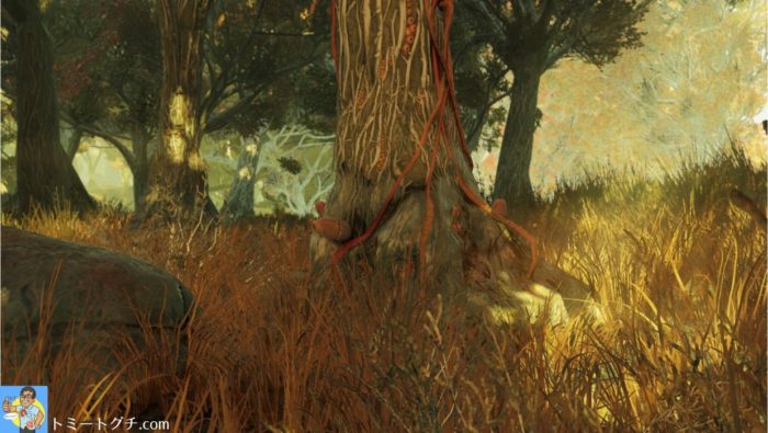 Fallout76 節くれだった巨木の生えた浅瀬
