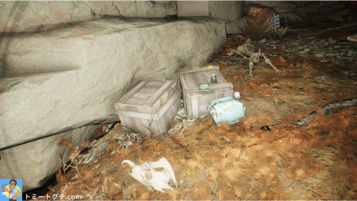 Fallout76 ホープウェル洞窟