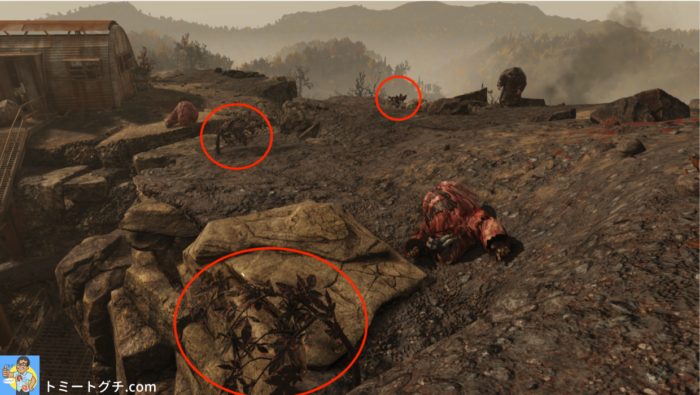 Fallout76 放棄された鉱山シャフト1 アッシュ ローズが群生する危険地帯 トミートグチ Com