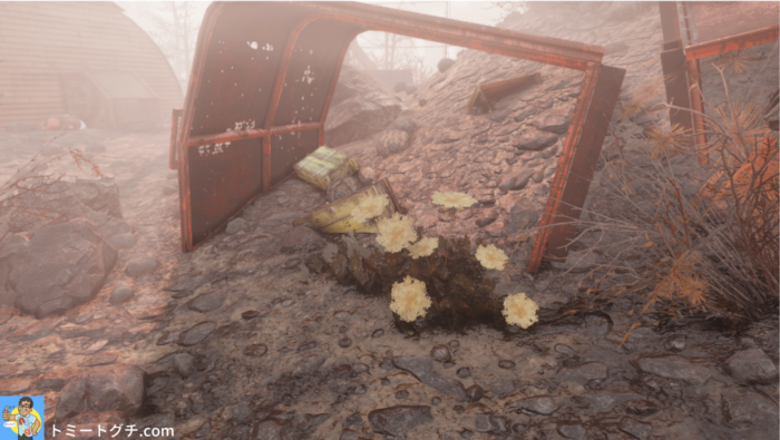 Fallout76 AMSの実験場