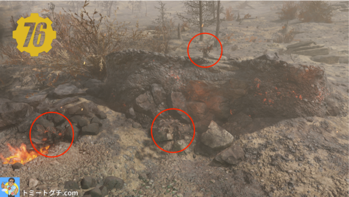 Fallout76 積灰の山南の荒野