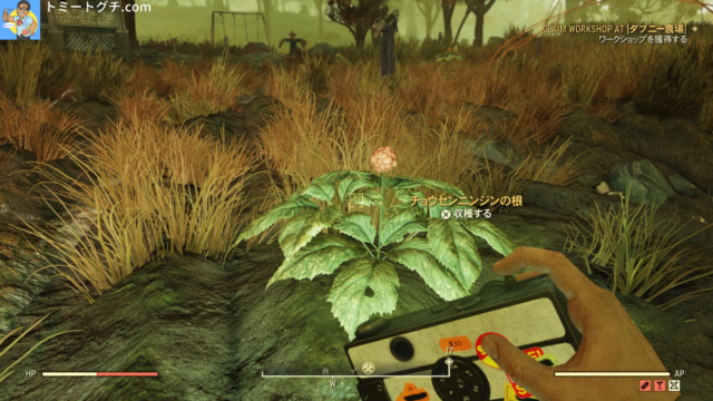 Fallout76 ダブニー農場